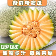 【限时秒杀】新疆吐鲁番哈密瓜{西洲蜜25号}3-4斤试吃普通装