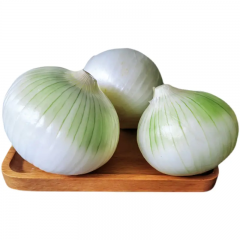 【抓饭羊肉配菜】新疆微甜白洋葱 皮牙子 5斤 礼盒装